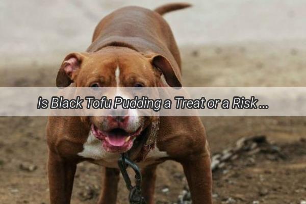 Is Black Tofu Pudding a Treat or a Risk for Your Furry Friend Find Out Now